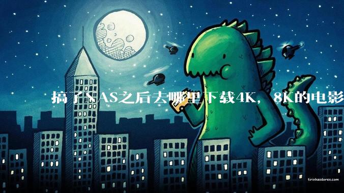 搞了NAS之后去哪里下载4K，8K的电影？