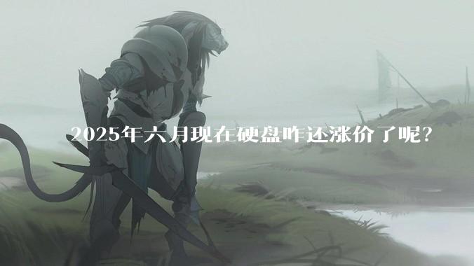 2025年六月现在硬盘咋还涨价了呢？