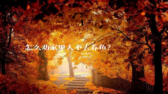 怎么劝家里人不去养鱼？