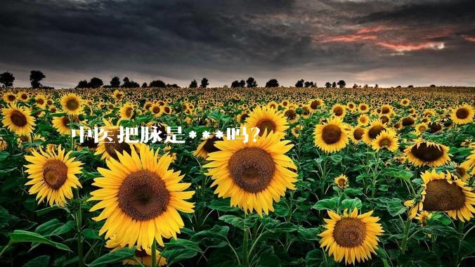 中医把脉是***吗？